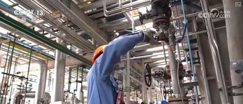 煉化工廠成鳥兒新家 綠色工業(yè)設(shè)計(jì)服務(wù)，盡顯工業(yè)之美